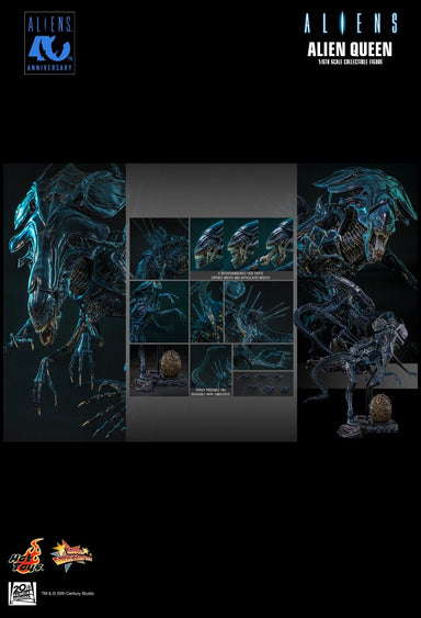 PREVENTA Hot Toys Aliens 40th Anniversary: Alien Queen Escala 1:6